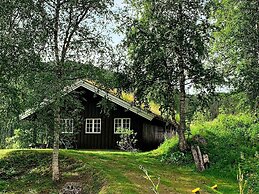 8 Person Holiday Home in Flatdal