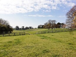 3 Painters Field