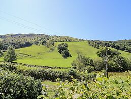 Lower Dolgenau- The Cottage