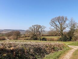 The Shippon at Wyke Farm