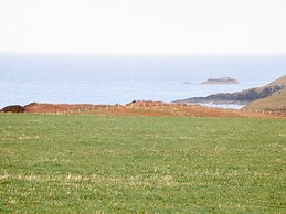 Bryn Eiddon