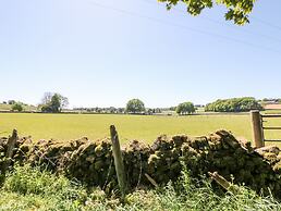 Meadow View