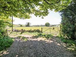 Meadow View