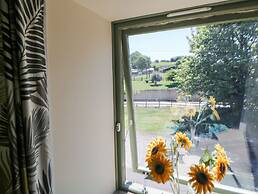 Meadow View