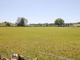Meadow View