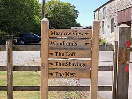 The Shavings