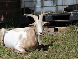 Foulsyke Farm Cottage