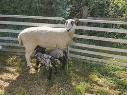 Swallows, 1 The Old Stables