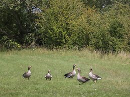 Kingfisher, 2 The Old Stables