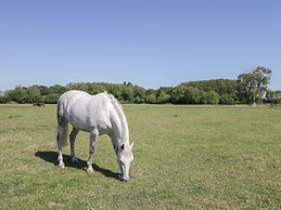 Kingfisher, 2 The Old Stables