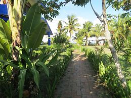 Eco Coco Loco by Rotamundos