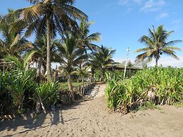 Eco Coco Loco by Rotamundos