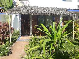 Eco Coco Loco by Rotamundos