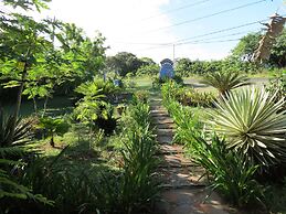 Eco Coco Loco by Rotamundos