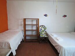 Eco Coco Loco by Rotamundos