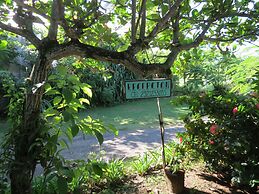 Eco Coco Loco by Rotamundos