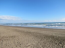 Eco Coco Loco by Rotamundos