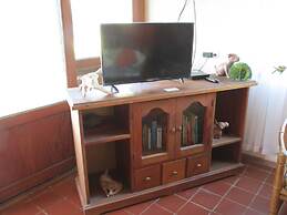 Eco Coco Loco by Rotamundos