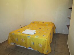 Eco Coco Loco by Rotamundos