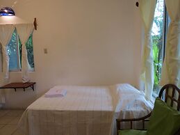 Eco Coco Loco by Rotamundos