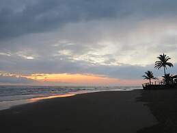 Eco Coco Loco by Rotamundos