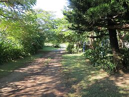 Eco Coco Loco by Rotamundos