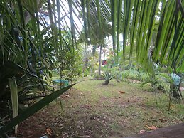 Eco Coco Loco by Rotamundos