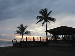 Eco Coco Loco by Rotamundos