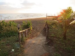 Eco Coco Loco by Rotamundos