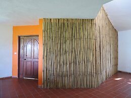 Eco Coco Loco by Rotamundos