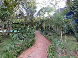 Eco Coco Loco by Rotamundos