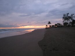 Eco Coco Loco by Rotamundos