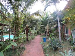 Eco Coco Loco by Rotamundos