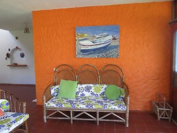 Eco Coco Loco by Rotamundos