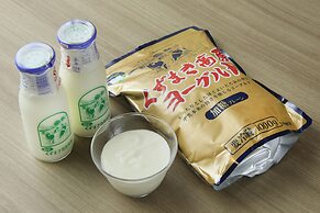 Richmond Hotel Moriokaekimae