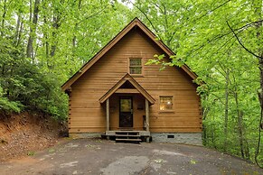 Above Ole Smoky's Clouds