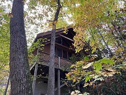 Above Ole Smoky's Clouds