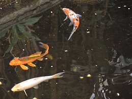 Pousada Don Alberto's