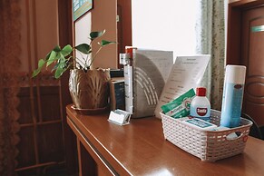 MAXROOMS Novozybkov Iput