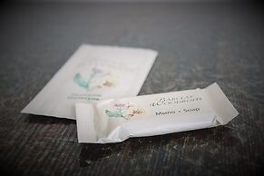 MAXROOMS Novozybkov Iput