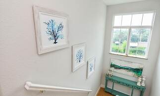 Coral Escape by AMI Locals