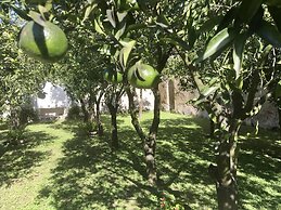 Palazzo Benucci - Residenza di Charme