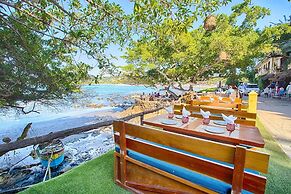 Local Tribe de México