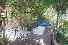 Local Tribe de México