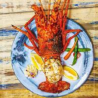 Local Tribe de México