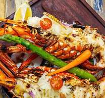 Local Tribe de México