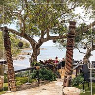 Local Tribe de México