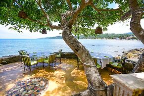 Local Tribe de México