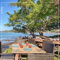 Local Tribe de México