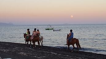 Room in Studio - Pleasure Room 4 By The Sea